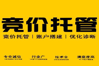 百度竞价SEM的转化率提升：某企业成功经验分享